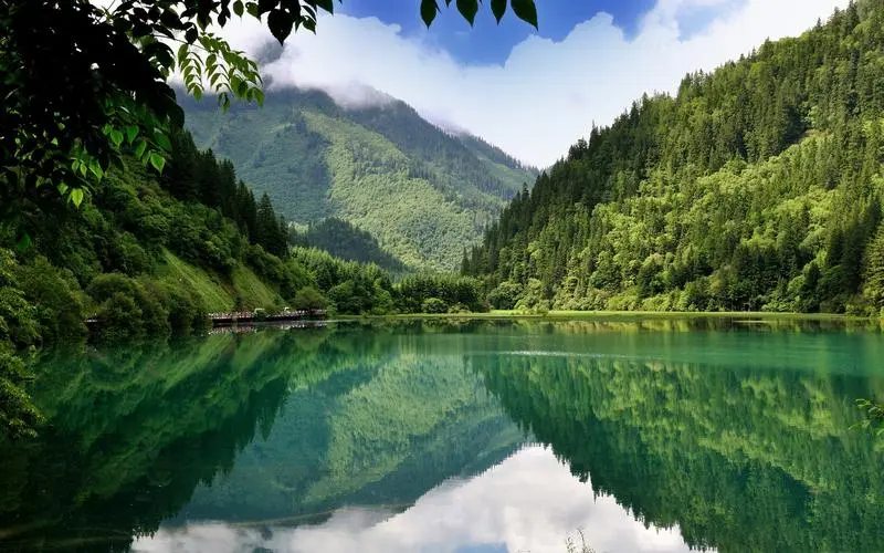 可靠性独特